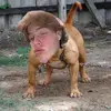 Levy - @jasonlevy04 - TikTok