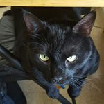 Jason lewandowski - @ljason980 - Instagram