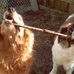 Jason Ley - Facebook