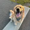 Jason Li - @jason.li229 - TikTok