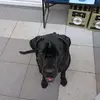 jasonlicht7 - @jasonkuelpmann - TikTok