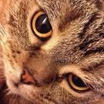 Chin Hang Jason Lo - @jason_lo_chin_hang - Instagram