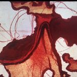 Jason Loeffler - @jasondadragon - Instagram