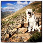 Jason Loeffler - @loefflerj7102 - Instagram