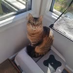 Jason Loper - @jayjaylop01 - Instagram