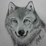 Jason Lowell - @robertlowell1980 - Instagram