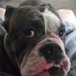 Jason Lowell Kruger - @jasonkruger913 - Instagram