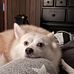 Jason Lykins - Facebook
