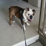 Jason Lyons - @jason.lyons.967806 - Instagram
