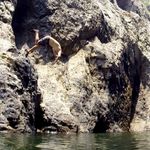 Jason MacDougall - @jasonlovesgames - Instagram