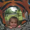 jasonmacdougall5 - @jasonmacdougall5 - TikTok