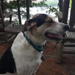 Jason Mahon - @cornelius_1969 - Instagram