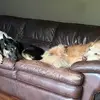 Jason Maline - @jason.maline - TikTok