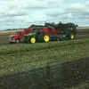 Jason Smalley - @smalley.jason - TikTok