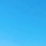 Jason mandel - @mandel8034 - Instagram