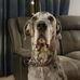 Jason Mann - Facebook