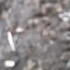jason__ mar - @jason__.mar - TikTok