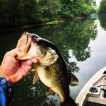 Jason Marlowe - @southernwaters12 - Instagram