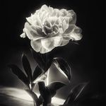 Jason Martz - @jason_martz57 - Instagram