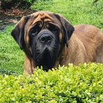 Jason B. Mather - @lckenpo - Instagram