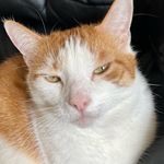 Jason Mather - @jjmm17777 - Instagram
