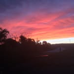 Jason Matic - @jasonmatic76 - Instagram