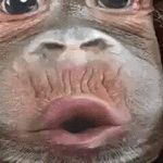 Jason Matson - @thatstrippydude - Instagram