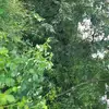 jason_matson - @mrjason1989 - TikTok
