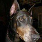 Jason Mattern - @mjayray21 - Instagram