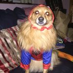 Jason Maye - @jason_maye77 - Instagram