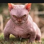 Jason McBrayer - @mcbrayer542 - Instagram