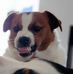 Jason McDougall - Facebook