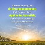 Jason McLemore - @sabbathkeepingchristiansrus - Instagram