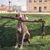 Jason Mefford - Facebook
