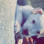 Jason Melancon - @jason_melancon - Instagram