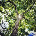 Jason Melo - @optimumlawncare1 - Instagram