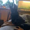 Jason Roy Micallef - @jason.roy.micalle - TikTok