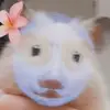 Account made by piggy. - @mikaandjason - TikTok