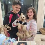 Jason Milo Raso - @jason_milo_raso - Instagram