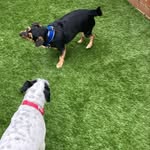 Milo_and_jason - @milo_and_jason - Instagram