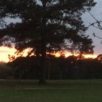 Jason Milstead - @jason.milstead - Instagram