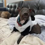 Jason Misner - @stitchboy24 - Instagram