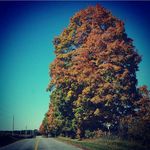 Jason Misner - @muddz29 - Instagram