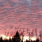 Jason Moen - @jason.moen.169 - Instagram