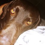 Jason Moen - @jason.moen.127 - Instagram