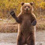 Jason Mohler - @mohlerbeardontcare - Instagram