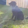 Jason Möller695 - @xx_daizziii_xx - TikTok