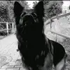 Jason Möller - @jason.moeller - TikTok