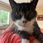 Jason Möller - @jasonmoeller2023 - Instagram