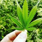 Jason Möller - @jason.moller.7921 - Instagram